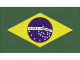 Flag, Brazil 20 x 30cm