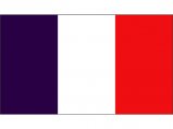 Flag, France 20 x 30cm