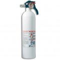 Fire Extinguisher, Clss:10BC 2.9Lb Powder