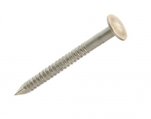 Threaded Nails, Stainless Steel 12 x 1″ Each