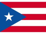 Flag, Puerto Rico 12 x 18″ Nylon