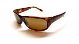 Sunglasses, Stingray Frame:Tortoise Lens:Hcl