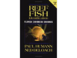 Reef Fish Identification Florida, Caribbean, Bahamas 2014 (4th edition)