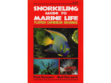 Snorkeling Guide To Marine Life Florida, Caribbean, Bahamas 1995