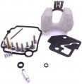 Carburetor Repair Kit, MFS8/9.8 4 Stroke