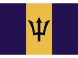 Flag, Barbados 20 x 30cm