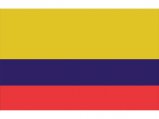 Flag, Colombia 20 x 30cm