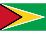 Flag, Guyana 20 x 30cm