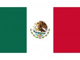 Flag, Mexico 20 x 30cm