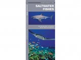 Salt Water Fishes