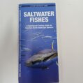 Saltwater Fishes of North America Waterproof