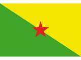 Flag, French Guyana 20 x 30cm