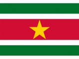 Flag, Suriname 20 x 30cm