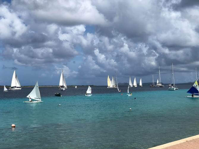 Kant’i Awa Bonaire Regatta Budget Marine