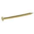 Escutcheon Pin, Brass 16 x 1/2″ 1.5oz