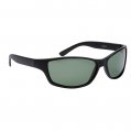 Sunglasses, CTS9218 Fr:Black Lens Green Smoke