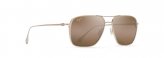 Sunglasses, Beaches Fr: Satin Gold Lns: HCL Bronze