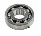 Ball Bearing, 25x62x17mm #6305R