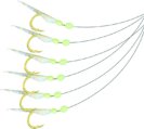Rig, UltraPoint Fluorocarbon Sabiki Size 8 Hage Aurora Style