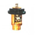 Thermostat, for 4Stroke MFS40/50/60