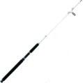 Rod, Surf Spin 7′ 2Pc