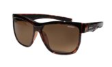 Sunglasses, Jaco Floating Polarized Frame: Glossy Tortoise Lens: Brown
