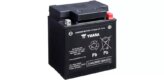 Battery, AGM Maintenance Free 12V 30Ah 400CCA
