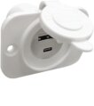 Plug, Standard with USB & C-Type White