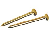 Escutcheon Pin, Brass 16 x 1″ Each