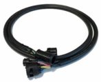Harness, MFS Main Engine 20′