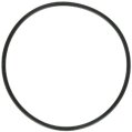 O-Ring, for Raw Water Strainer