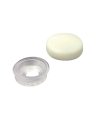Screw Cap, #10 #12 Cream