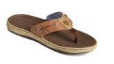 Shoes, Men’s Baitfishbox Light Brown