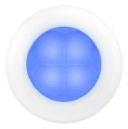 Courtesy Lights